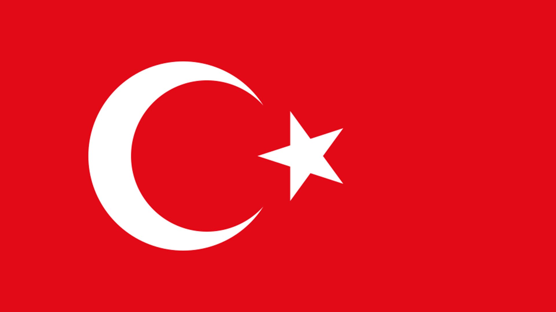 turkey turkey