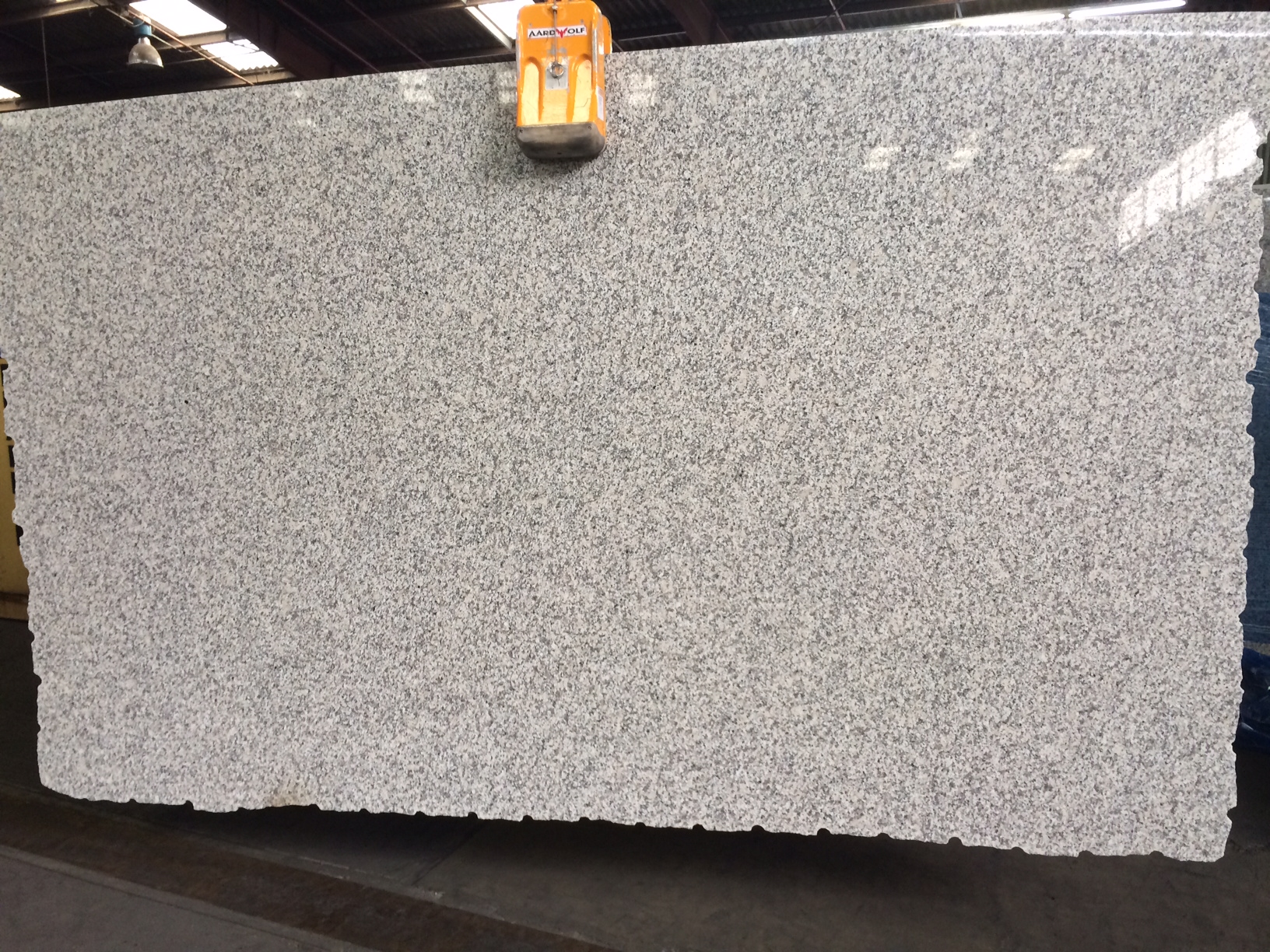 Close-up of Grey Sardo granite showing a uniform grey, black, and white speckled granular pattern.