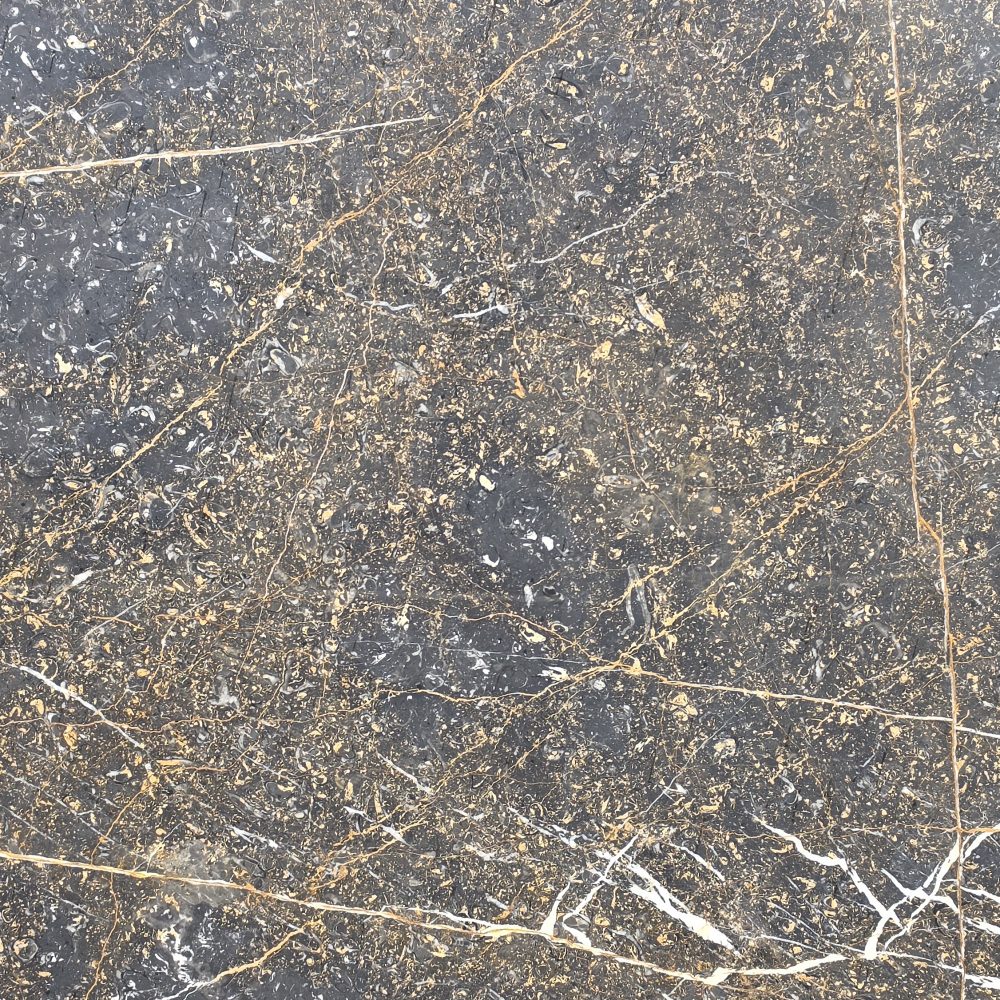 Golden Black Marble – Deep Black Background with Striking Gold and White Accents | Lazulite
